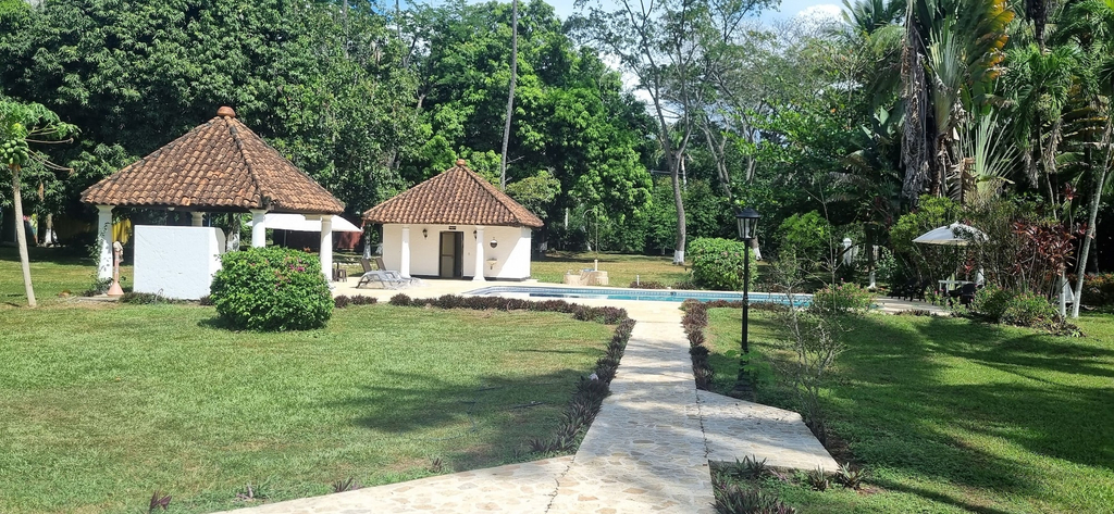 Primary image