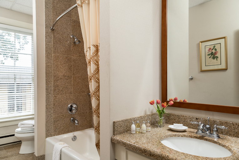 Bathroom 4, Linden Row Inn, Richmond