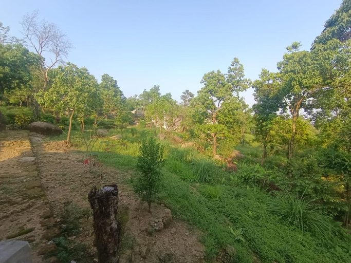 Others 2, Ibankordor Jungle Resort, East Khasi Hills