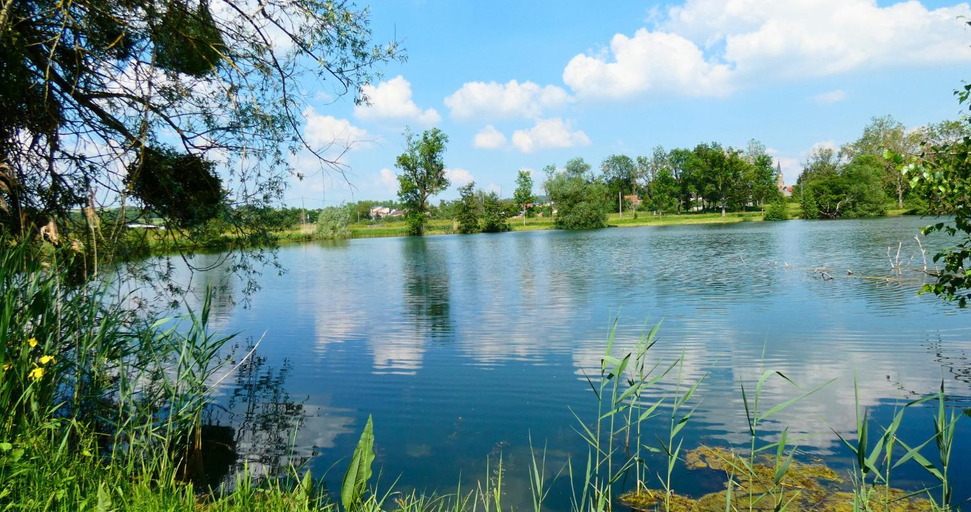 Others 5, Bulle de l'etang - Etat Nature, Meurthe-et-Moselle