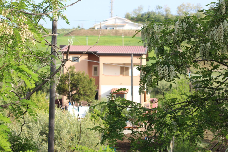 Others 2, IL FEUDO, Catanzaro