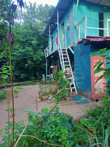 Others 2, Nature's Haven Ecojunglelodge Tioman, Mersing
