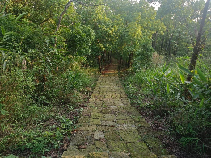 Others 3, Ibankordor Jungle Resort, East Khasi Hills