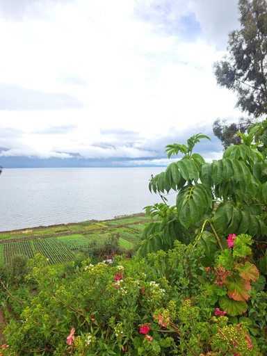 Others 5, kawsay Wasi Lodge De Oswaldo Cari, Lago Titicaca