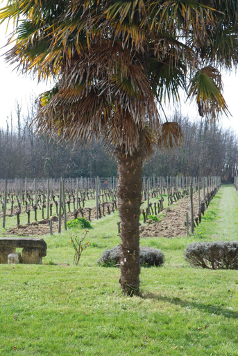 Others 4, Chambres d'hotes de charme dans un vignoble, Gironde