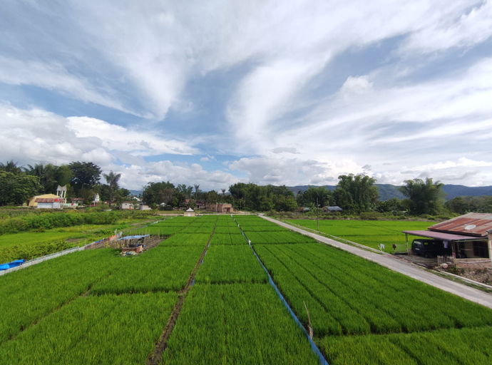 Exterior & Views 4, HOMESTAY GBKP BALIGE, Toba