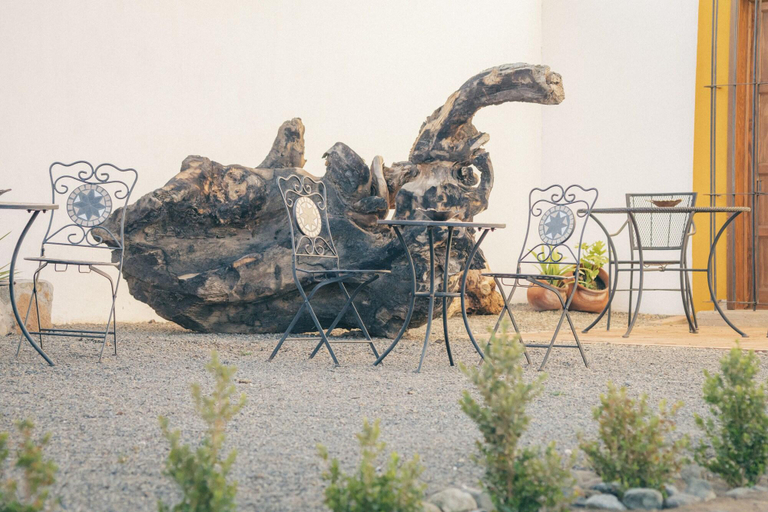 Others 4, Casa Entrevez, Ensenada