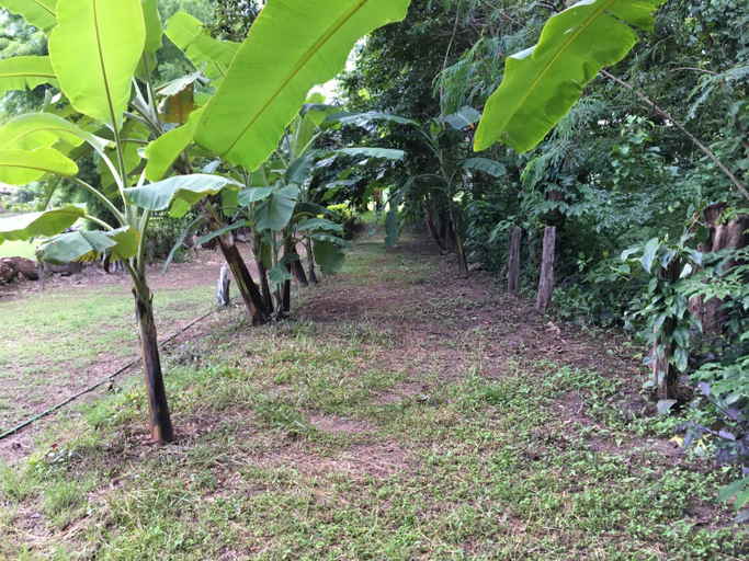 Others 3, Paipunthong Resort, Pai