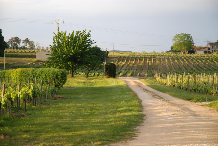 Others 3, Chambres d'hotes de charme dans un vignoble, Gironde