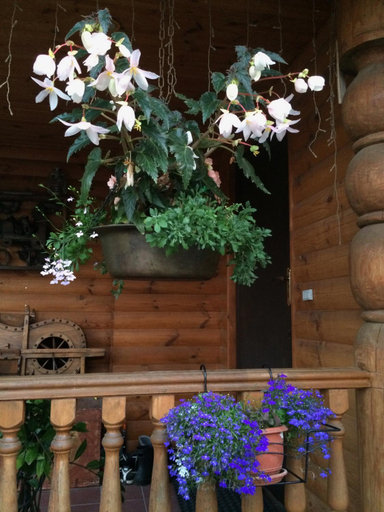 Others 5, Samovar institution in Suzdal, Suzdal'skiy rayon