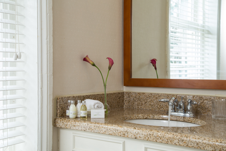Bathroom 4, Linden Row Inn, Richmond
