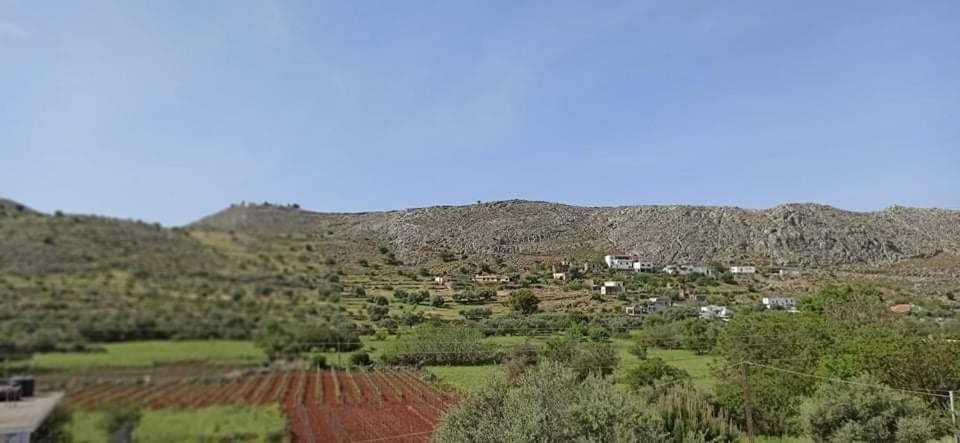 Others 5, Xenonas Anopolis 1, Crete