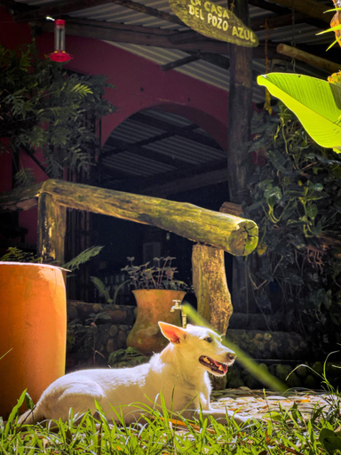 Others 3, Casa del Pozo Azul - Minca, Santa Marta (Dist. Esp.)