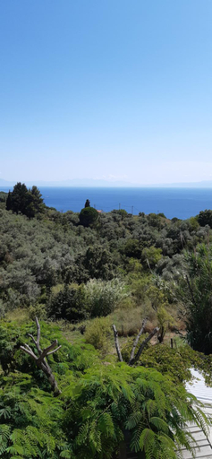 Others 5, Pansion Platana, Thessaly