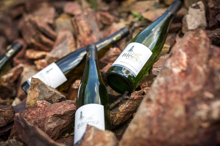 Food & Drinks, Chambre du Vigneron - Domaine Leon BLEESZ, Bas-Rhin