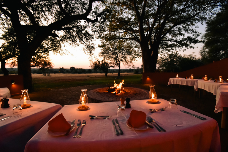 Others 4, Mohlabetsi Safari Lodge, Mopani
