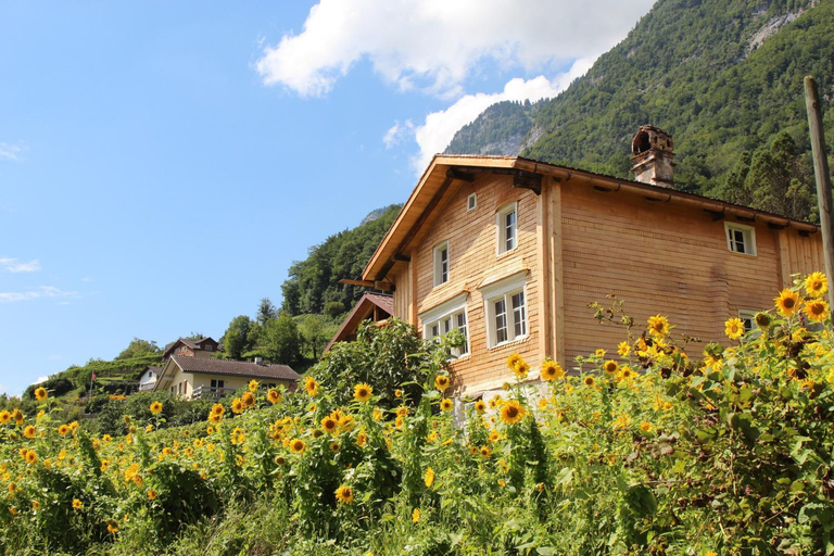 Others 5, Haus Bunten, Sarganserland