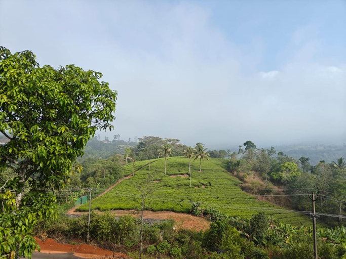 Others 1, J C Hills Resort Vagamon, Idukki