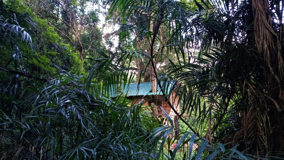 Others 4, Knuckles Backpackers Hut with waterfall view, Laggala-Pallegama