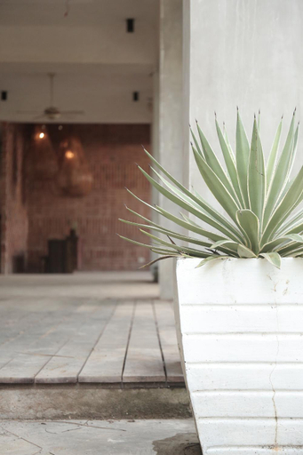Public Area 2, The KAZA Boutique Hotel, General Luna