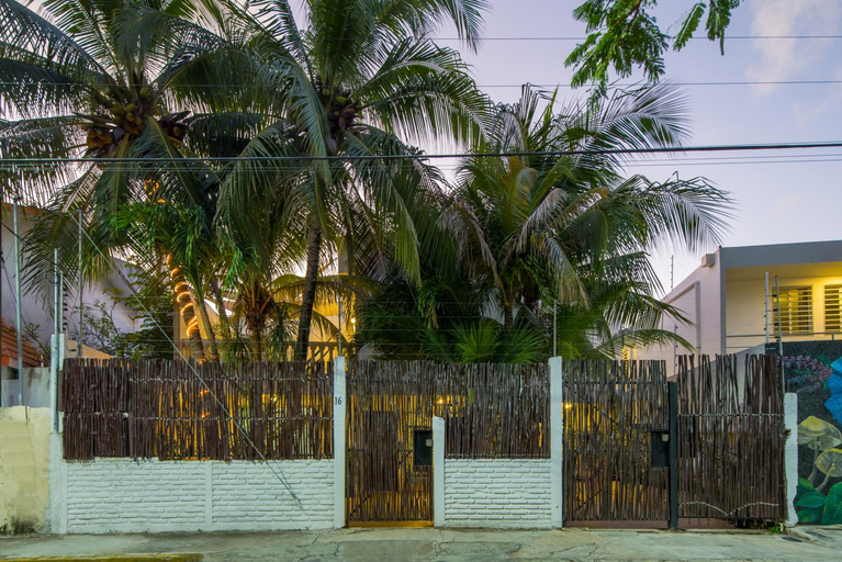 Others 4, Casa Tropical, Benito Juárez