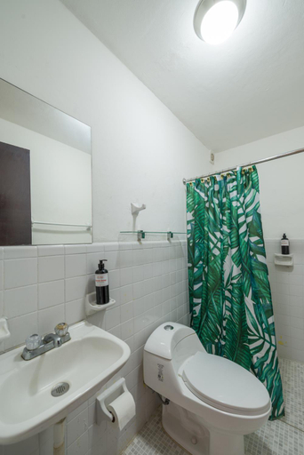 Others 3, Casa Tropical, Benito Juárez