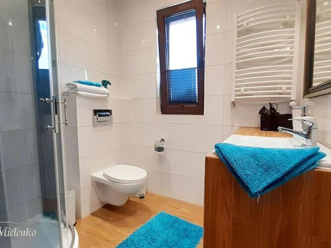 Bathroom 3, Large, comfortable holiday home, sauna, jacuzzi, Koszalin