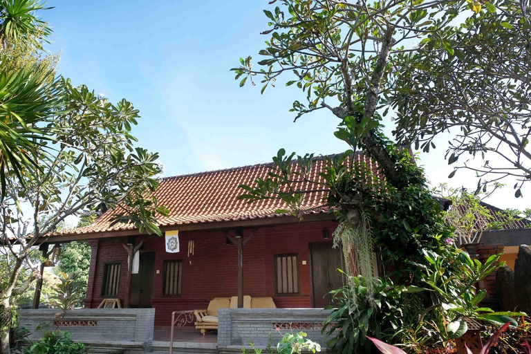 Others 5, Sua Bali, Gianyar