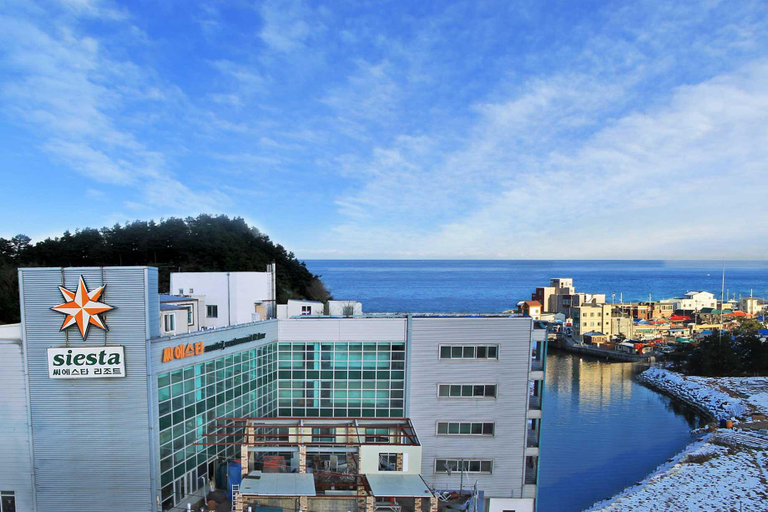 Others 4, Siesta Guesthouse, Gangneung