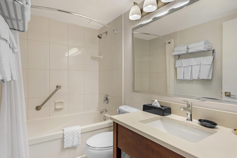 Bathroom 4, Best Western Plus Suites Downtown, Division No. 6