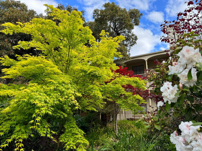 Others 4, Lumeah - Servant Quarters, Hobart