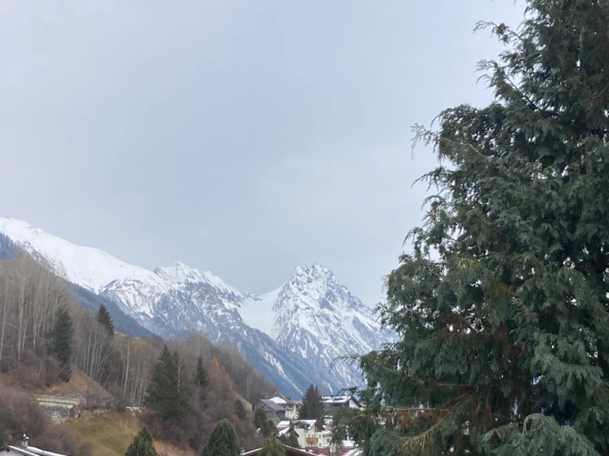Others 4, Alpenhof Huber, Landeck