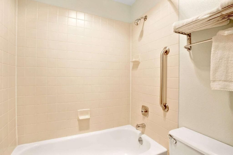 Bathroom 4, FairBridge Inn Express Tukwila, Tukwila