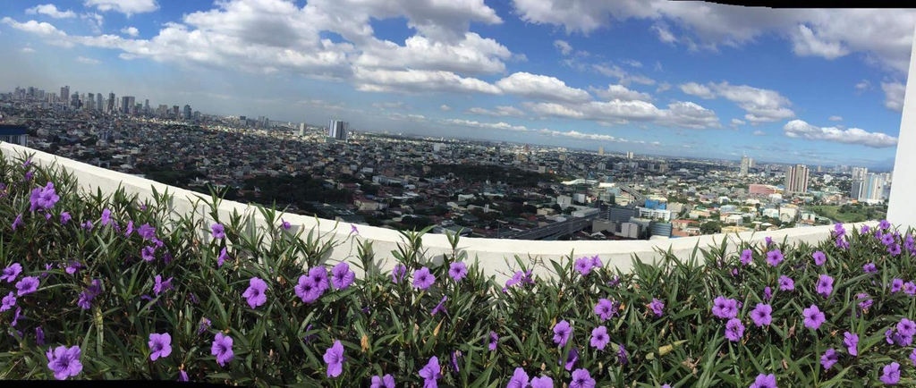 Others 3, Elane's Staycation -Mezza 2 1 br, Quezon City