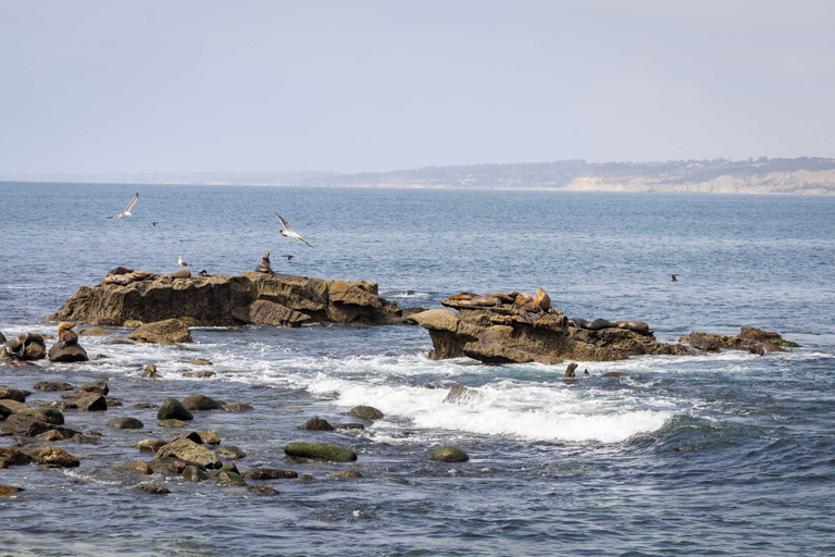 Others 5, La Jolla Living by Avantstay A+ Location Private Backyard Lounge, San Diego
