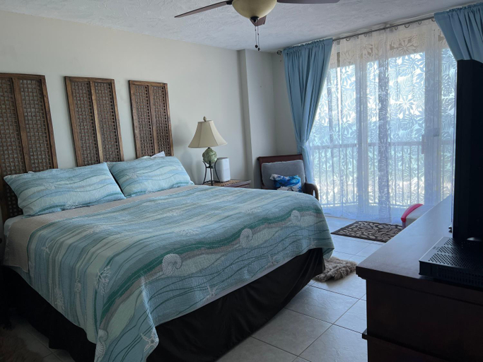 Others 4, Ponce Inlet Florida Breathtaking Oceanfront Penthouse Villa!, Volusia