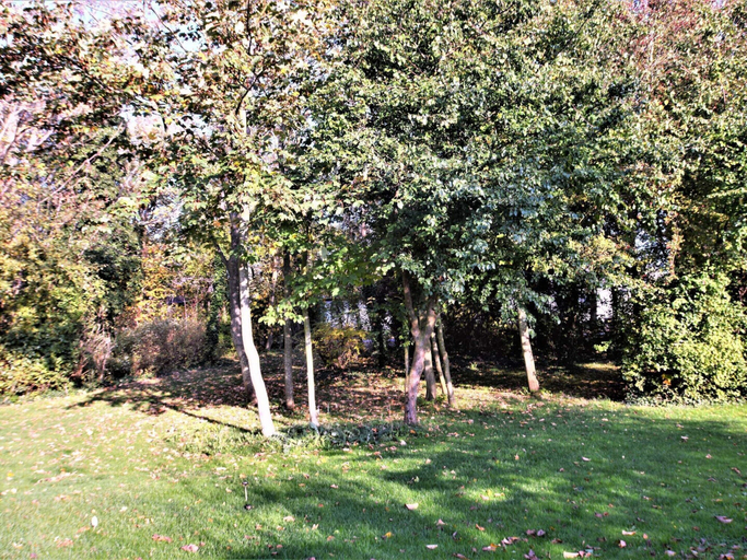Miscellaneous 2, 6 Person Holiday Home in Rodby, Lolland