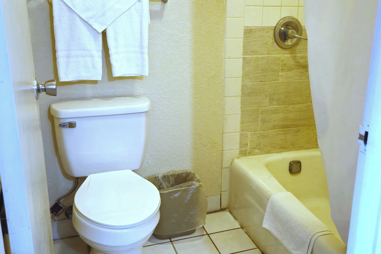 Bathroom 4, River Valley Inn & Suites (Extended Stay), Sebastian