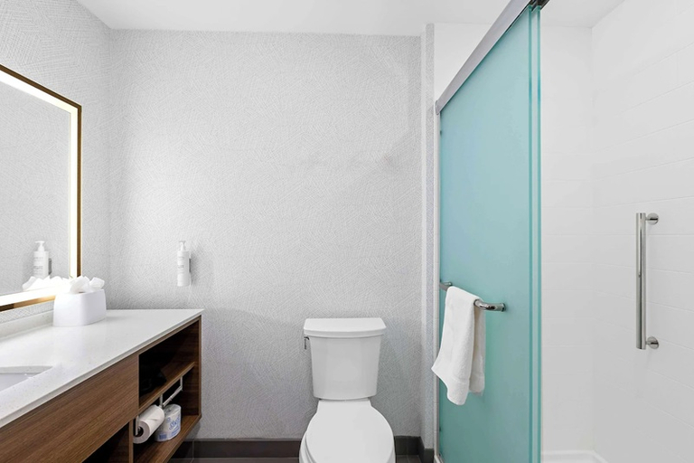 Bathroom 4, Home2 Suites By Hilton Hendersonville, Henderson