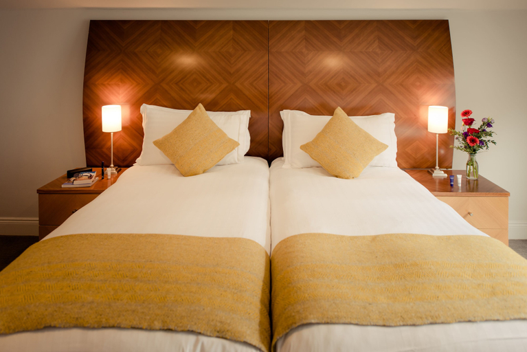 Room 3, Premier Suites Dublin Leeson Street, Dublin