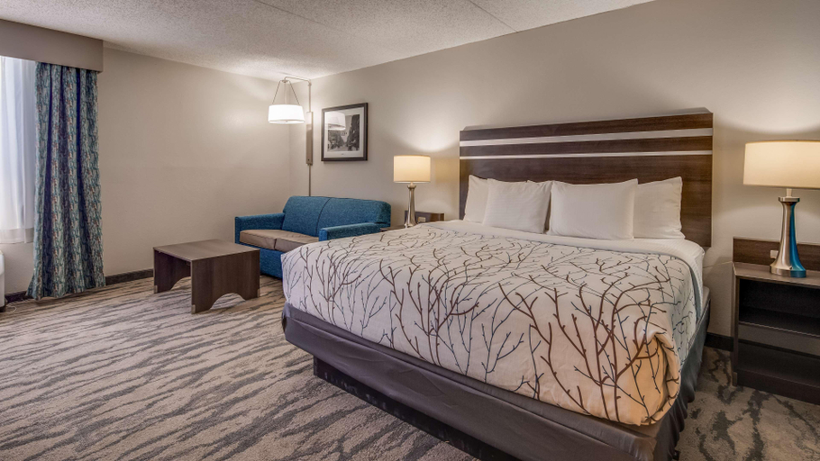 Bedroom 3, Best Western Plus Knoxville Cedar Bluff, Knox