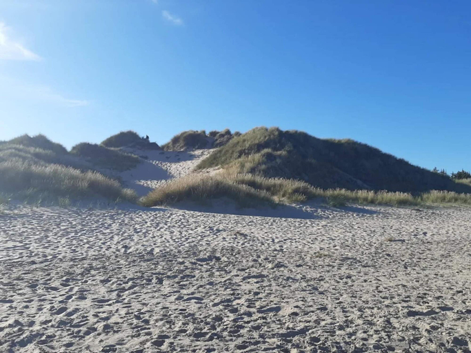 Others 4, 5 Star Holiday Home in Albaek, Frederikshavn