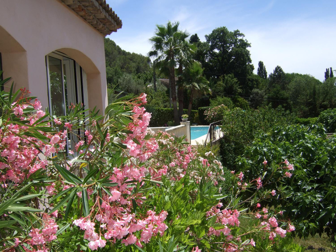 Others 5, AU VALLON ROUGE (Studio), Alpes-Maritimes