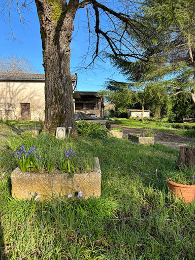 Others 4, Domaine de Labeque, Gironde