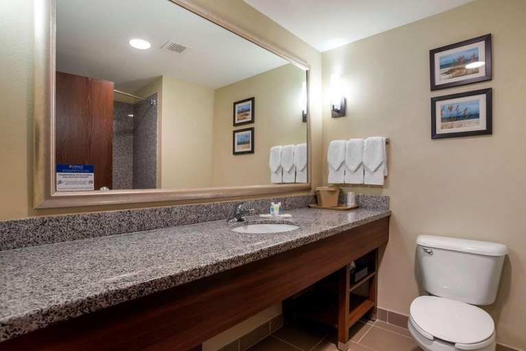 Bathroom 4, Comfort Suites Foley - North Gulf Shores, Baldwin