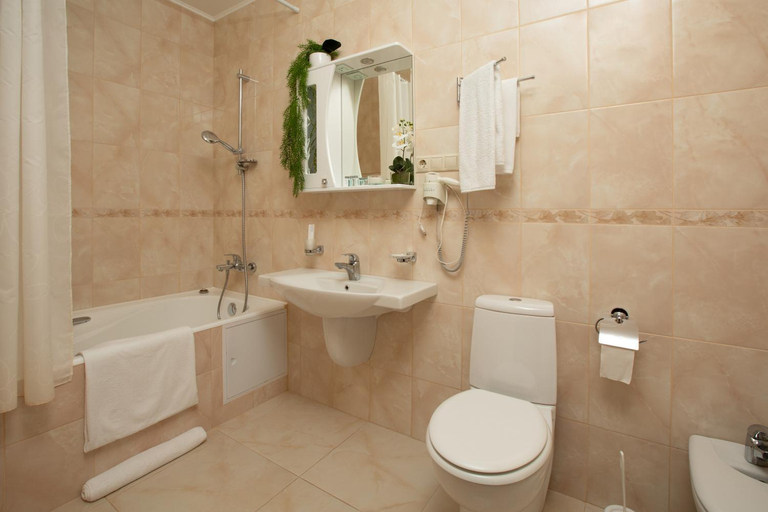 Others 5, Health Resort Barvikha, Odintsovskiy rayon