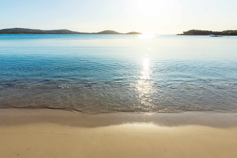 Others 5, Son de Mar, Corse-du-Sud
