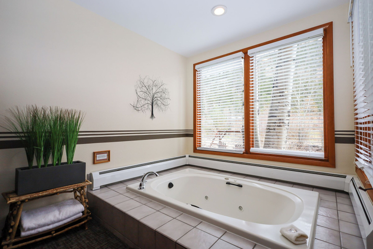 Bathroom 3, Aspen Winds on Fall River, Larimer