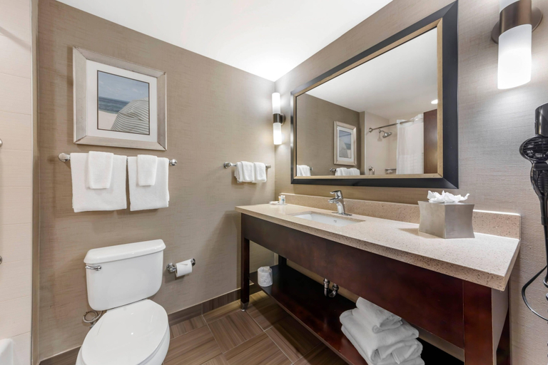 Bathroom 4, Comfort Suites Miami Airport North, Miami-Dade