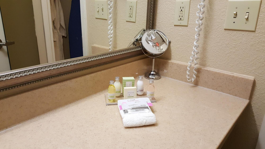 Bathroom 4, Hawthorn Extended Stay by Wyndham Rome, Floyd